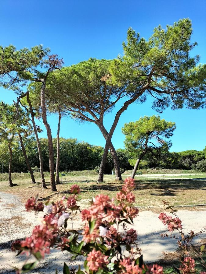 סן-פייר-ד'אולרון Les Salines Boyardville - Appart'Hotel מראה חיצוני תמונה