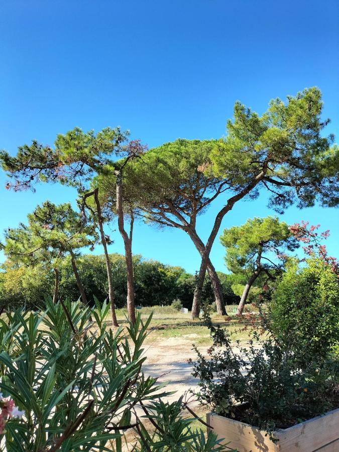 סן-פייר-ד'אולרון Les Salines Boyardville - Appart'Hotel מראה חיצוני תמונה